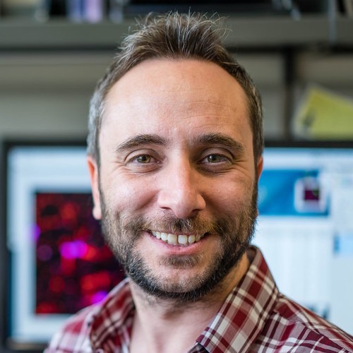 Kim Green, PhD
